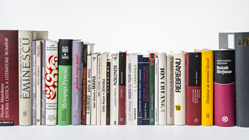 ERASMUS+ GUEST LECTURES held by colleagues from Cluj-Napoca, Romania