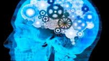 Predavanje prof. dr Tijane Ašić: Neurolingvistika: savremeni pristup  u teoriji i praksi